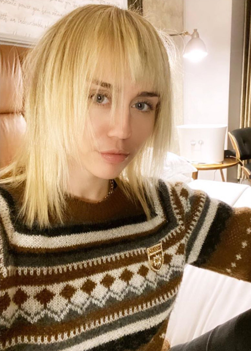 Miley Cyrus Mullet Haircut 2020 - Miley Cyrus's Mullet Haircut and 80s ...